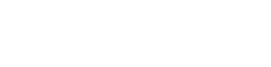 DPO Logo